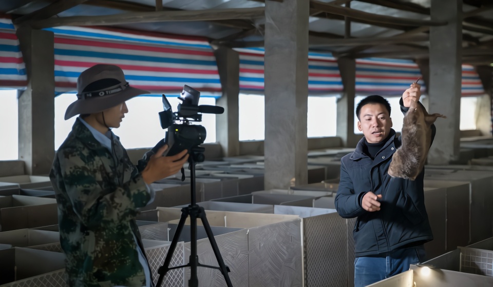 内容、用户、商业化，短视频的风还能怎么吹？