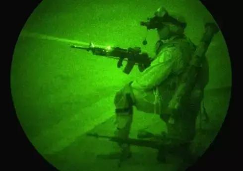 当老鼠拥有“鹰眼”，人类世界会发生什么变化？