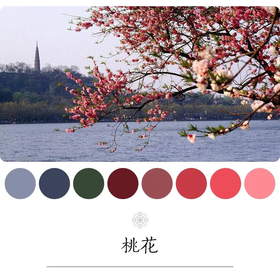 桃花