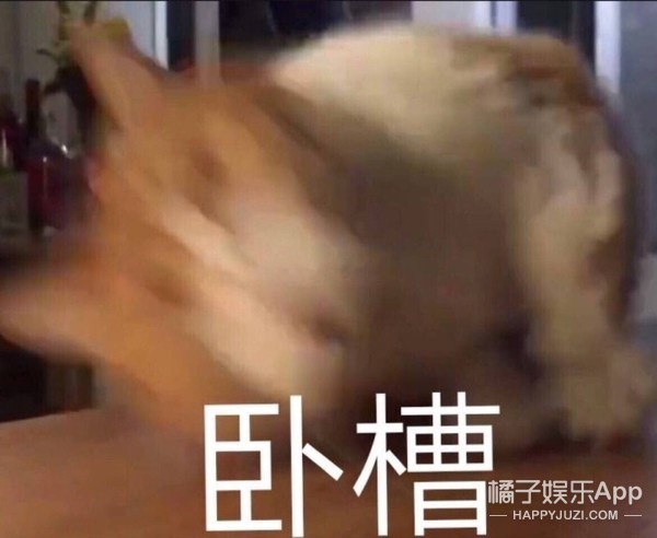 生日=忌日？无限轮回永远被杀，这部最有趣的恐怖片出续集啦