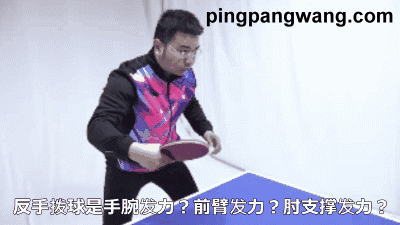 反手拨球像挖掘机铲土,肘关节并非完全固定,要这样去支承最合理