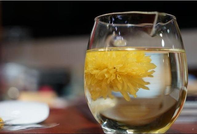 4种菊花茶,功效各不同,怎么选择?喝对了才养生,喝错了很伤身