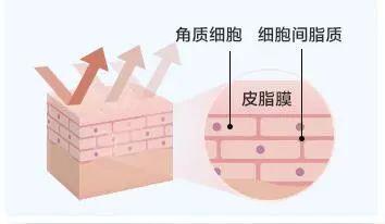 俘获小鲜肉，代言美国版大宝，这张新面孔悄咪咪成功上位？