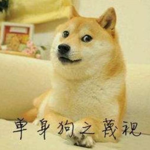 那个火遍朋友圈的单身狗，终于脱单了！