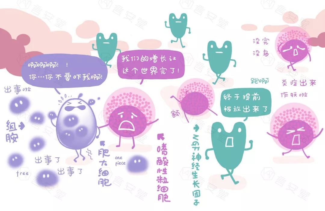 凤凰网