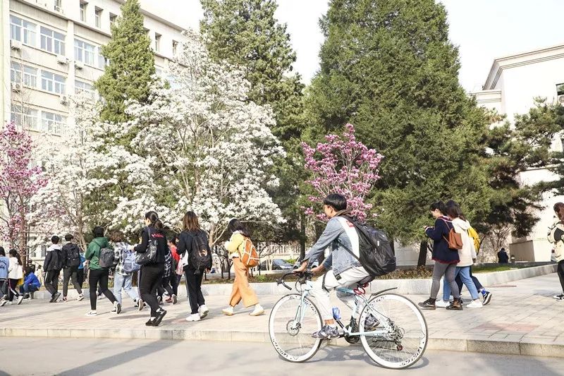 中央民族大学,是时候惊艳全国了!