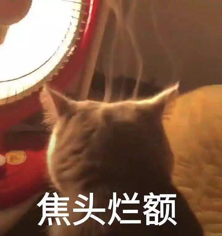 张雨绮鼻子歪到天边的视频都敢往外发！团队是集体造反了？