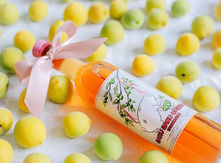 春意正浓,8款最适合女生的高颜值小甜酒了解一下!