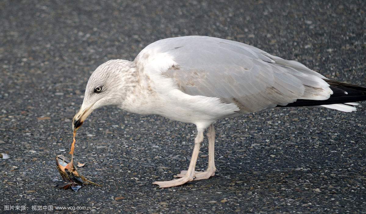 62640d66735a44d187783d474132a6d5.jpg 62640d66735a44d187783d474132a6d5.jpg