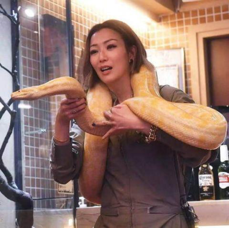 郑秀文把大蟒蛇缠在脖子上，网友被吓坏了她却笑得很开心