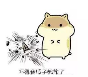 刘强东到底怎么了！！！| 唠氪儿