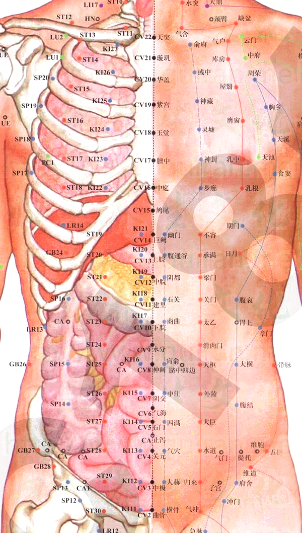 乳房胀痛,按摩这几个穴位缓解!更能让你的胸部瞬间大起来