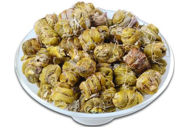 女性吃铁皮石斛有七大好处,铁皮石斛怎么吃,什么时候吃效果最好