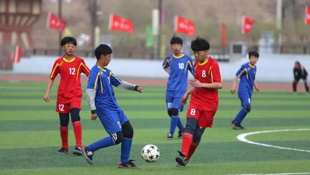 从青训到职业联赛足球数据库如何改变现代足球的运营与决策模式