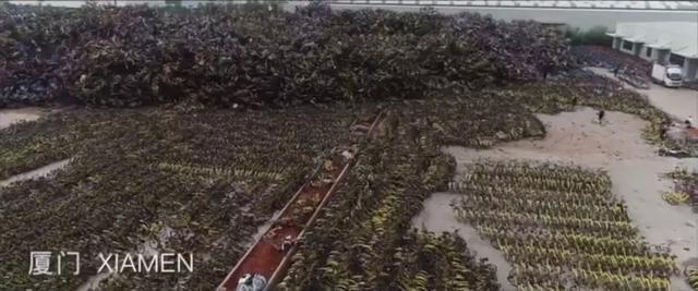 把报废的共享单车搬回家，它可以变成什么？