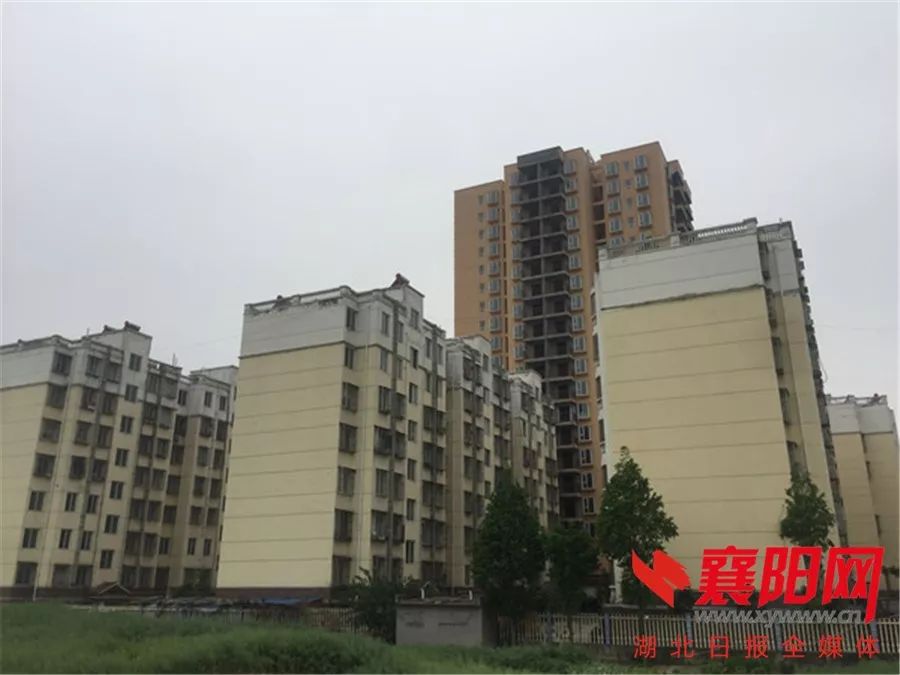 市委书记批示！一地房地产违建大案牵出多名领导干部！__凤凰网