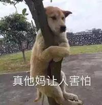 兰蔻和阿玛尼粉底液里都掺这种“毒物”，用对是圣品用错会过敏