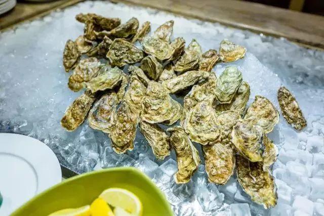 语文书都不放过!我的叔叔于勒那么悲伤一故事,你们却只记住牡蛎多好吃