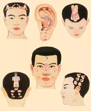 看懂这张图,穴位不用找(人体全息图)