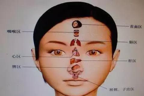 看懂这张图,穴位不用找(人体全息图)