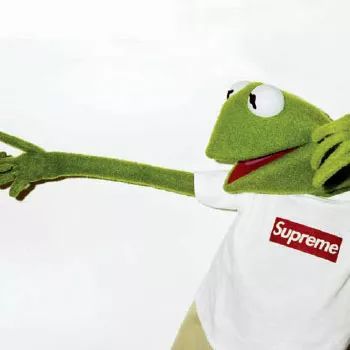 虽然只是拍摄一个玩偶,但supreme相当有心的邀请了terry richardson