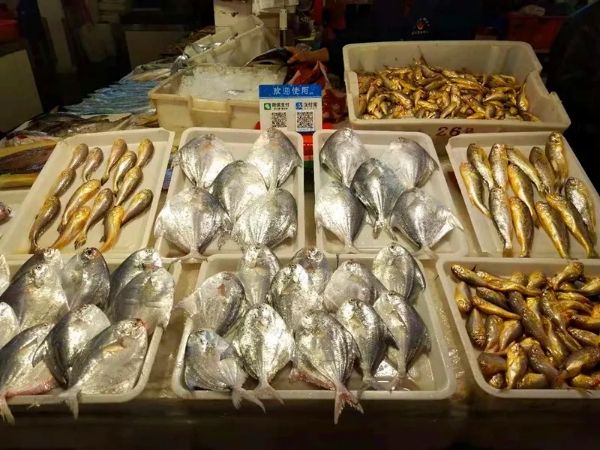 台州,浙江人的美食孤岛