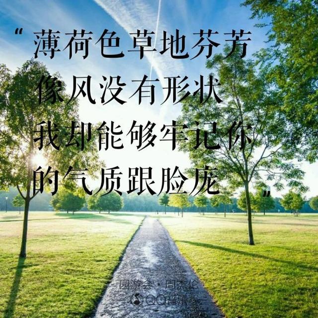 520“喜欢你”用周杰伦歌曲里的歌词怎么说?