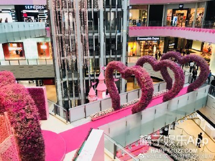 真求婚了？求个婚阵仗都这么大，婚礼当天还了得？