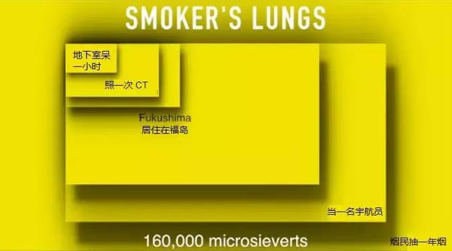 人间地狱切尔诺贝利，现在已经“鸟语花香”