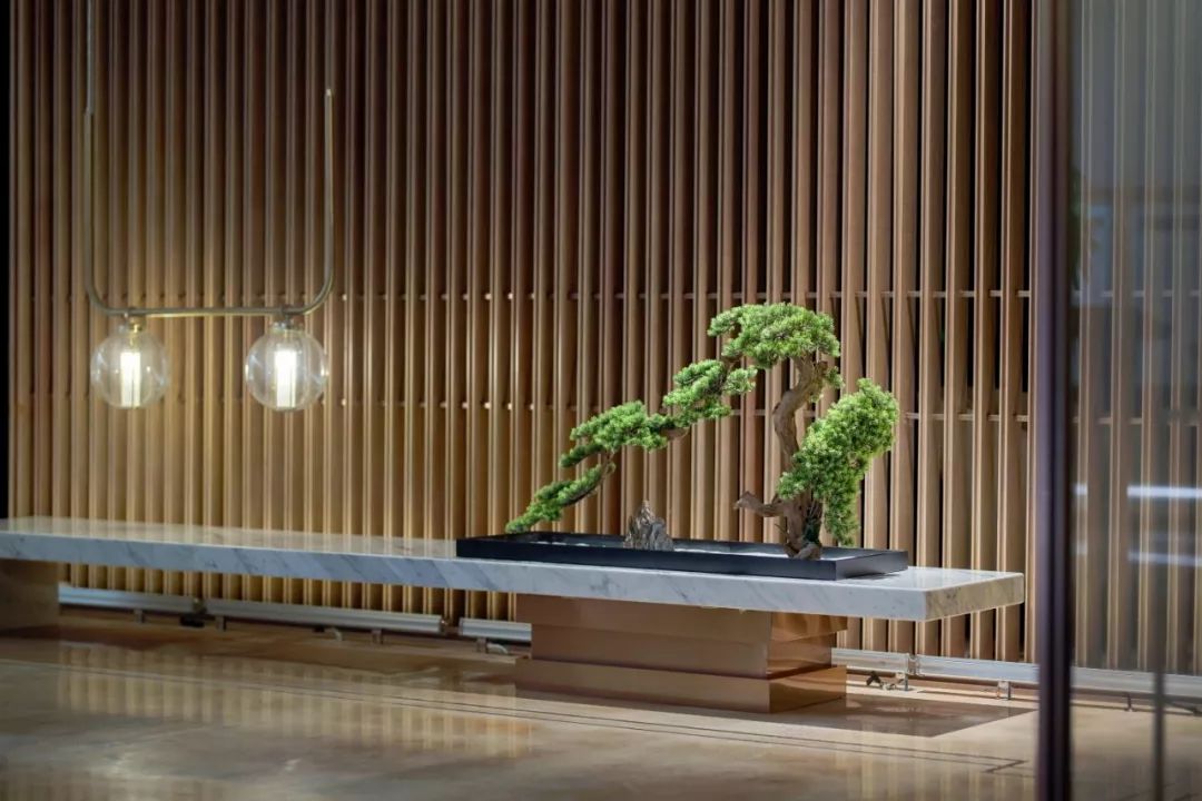 极简之上 浸入式体验商业空间