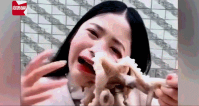 姑娘在直播吃活章鱼，结果章鱼跟她拼了……（女主播吃播活章鱼）