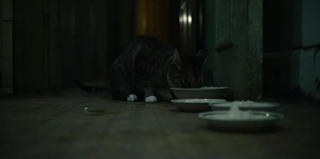 究竟该给《切尔诺贝利》打几分? | 小圆桌