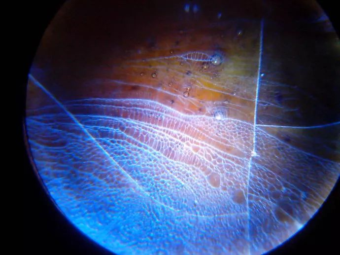 156、瓷器微观典型特征