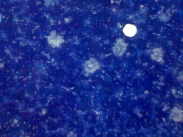 156、瓷器微观典型特征