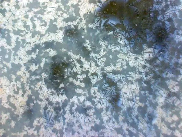 156、瓷器微观典型特征