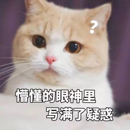 许久不营业的国民初恋，突然胖成球状白百何…