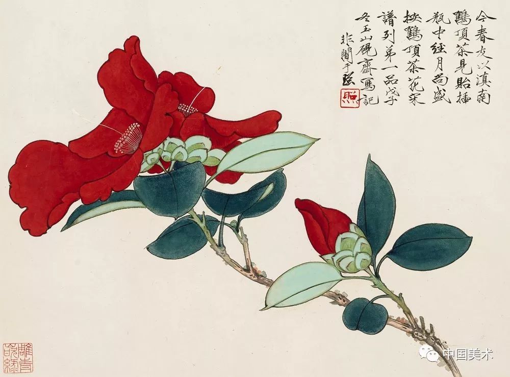 听民国工笔花鸟画大师于非闇讲 国画如何妙绘自然