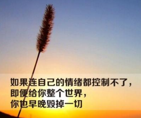 qq1.png