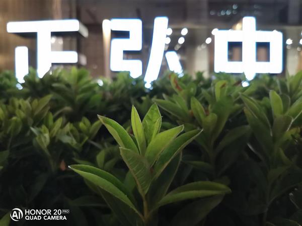 荣耀20 Pro世界第二拍照怎么炼成的？有图有真相