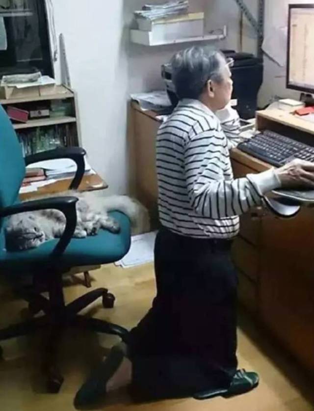 不养猫，你都不知道自己有多卑微 !
