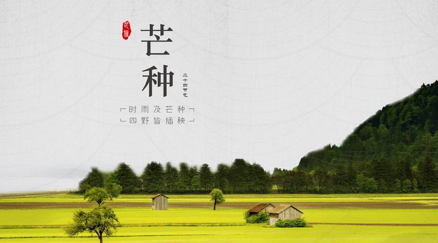 公考小常识：“芒种”是什么意思？三教九流中的九流都是什么？插图