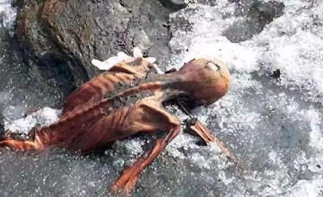 世界各国千年诅咒悬谜:这些东西千万不要拿