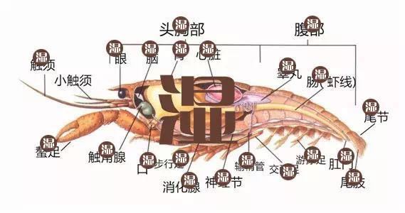 科普：扔垃圾为什么不能嫌麻烦