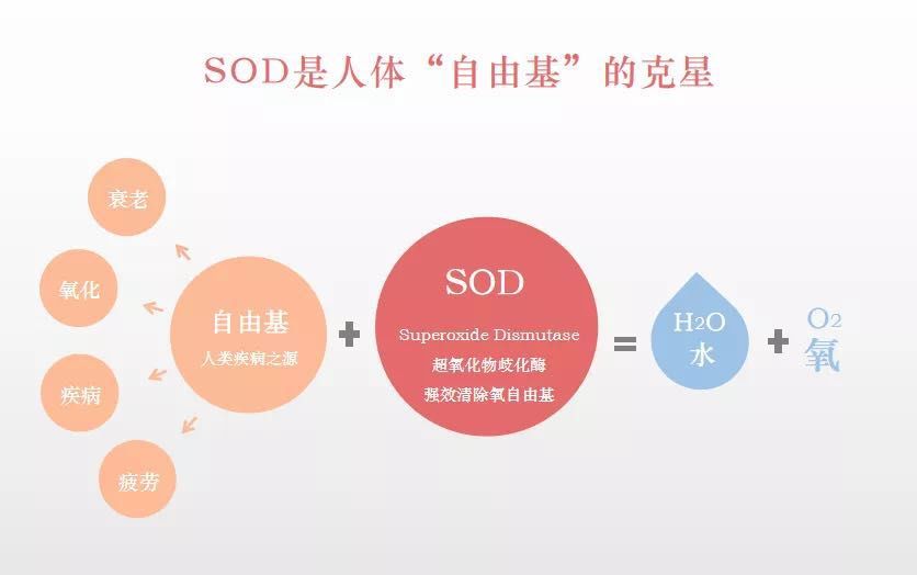 喝茅台，不伤肝？季克良举出这些例子