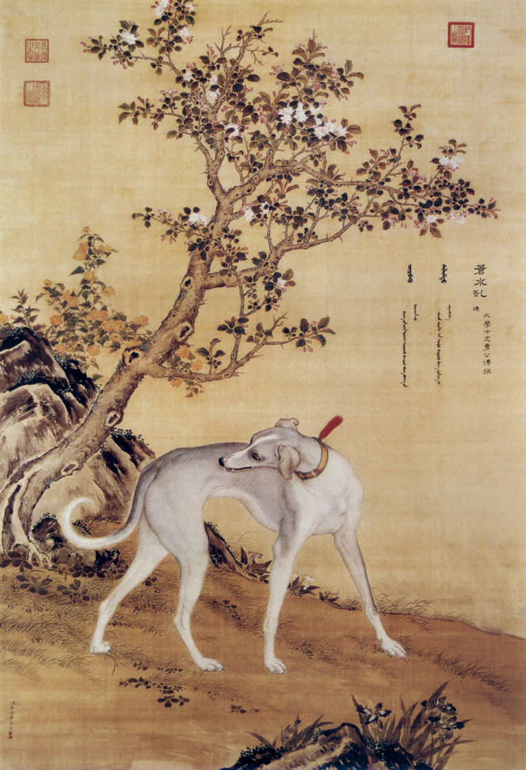 清 郎世宁 十骏犬图之“苍水虬” 台北故宫博物院藏