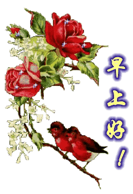 2019最漂亮早上好动态美图表情，朋友圈早晨问候大家早上好阳光暖心句子（早上好动态图片 漂亮 最新版朋友好问候语）
