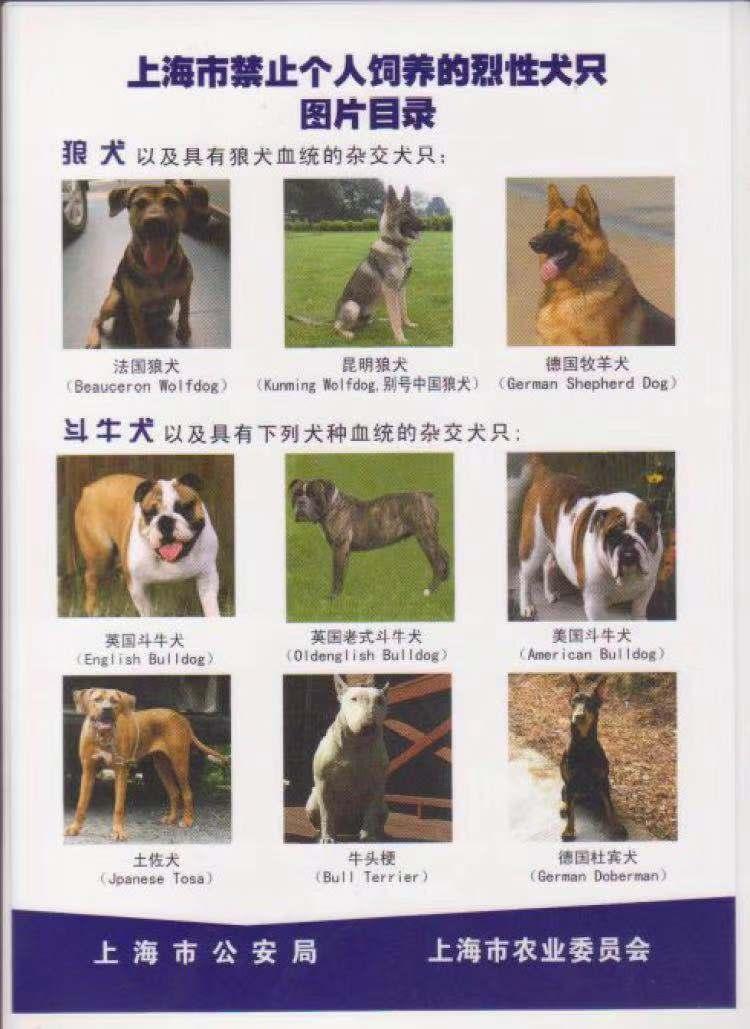 但禁养烈犬如何办出了合法狗证?