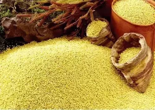 夏天吃小米,养胃又安眠!小米粥的7种新吃法,营养翻倍好吸收