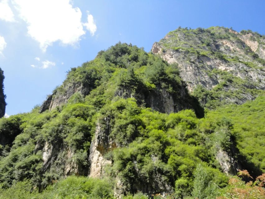 万万没想到,漳县这样美