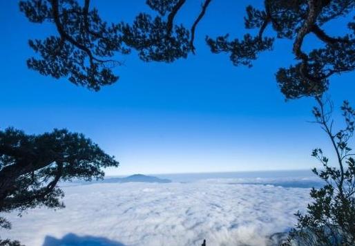 海南五指山,到了海南怎么能不看看,让我们一起玩转五指山
